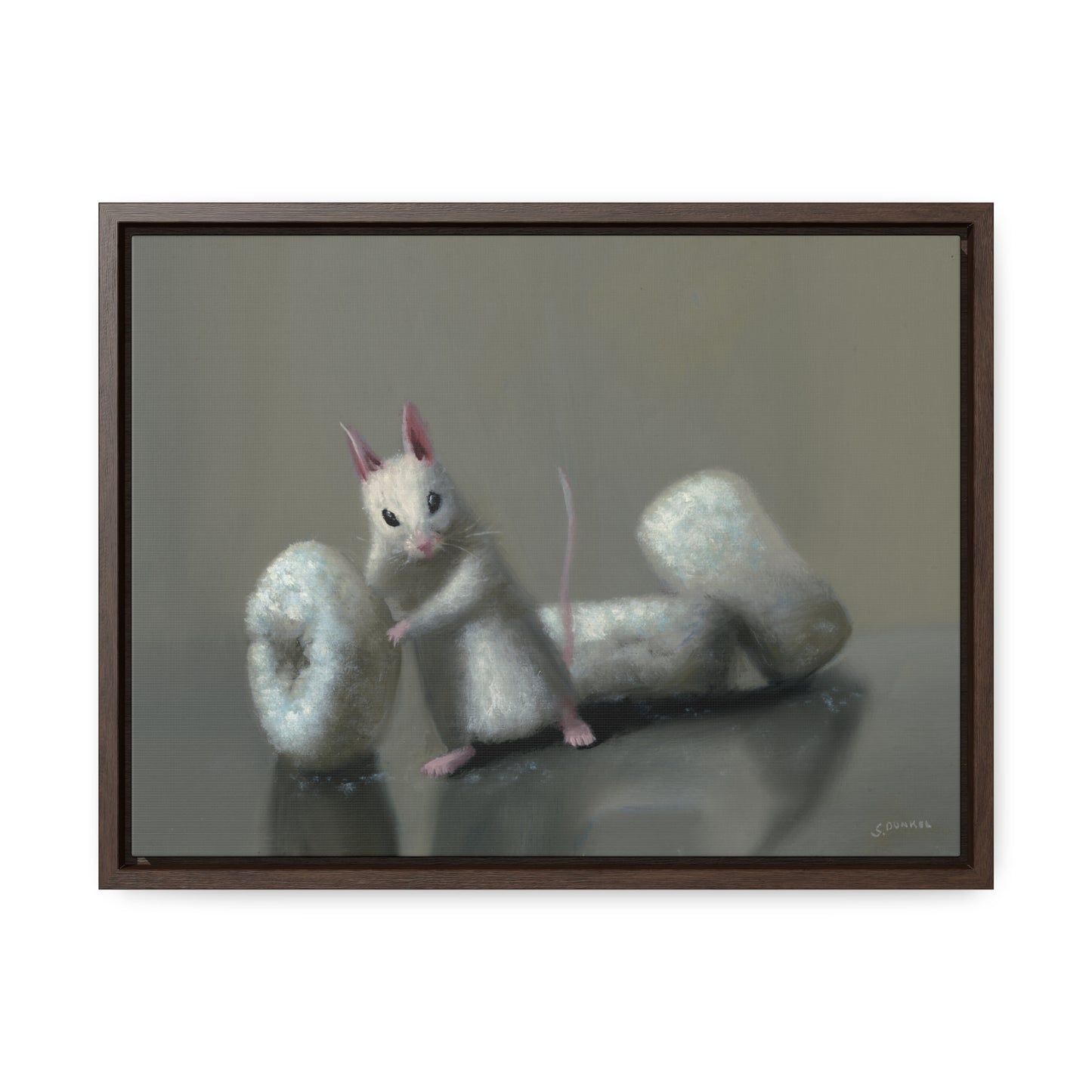 Stuart Dunkel: "Donettes in White" - Framed Canvas Reproduction