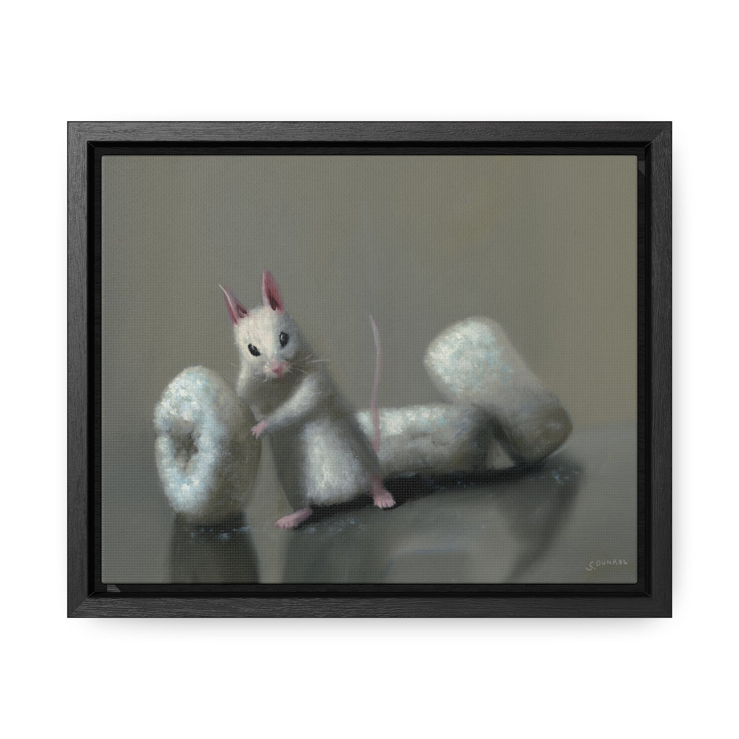 Stuart Dunkel: "Donettes in White" - Framed Canvas Reproduction