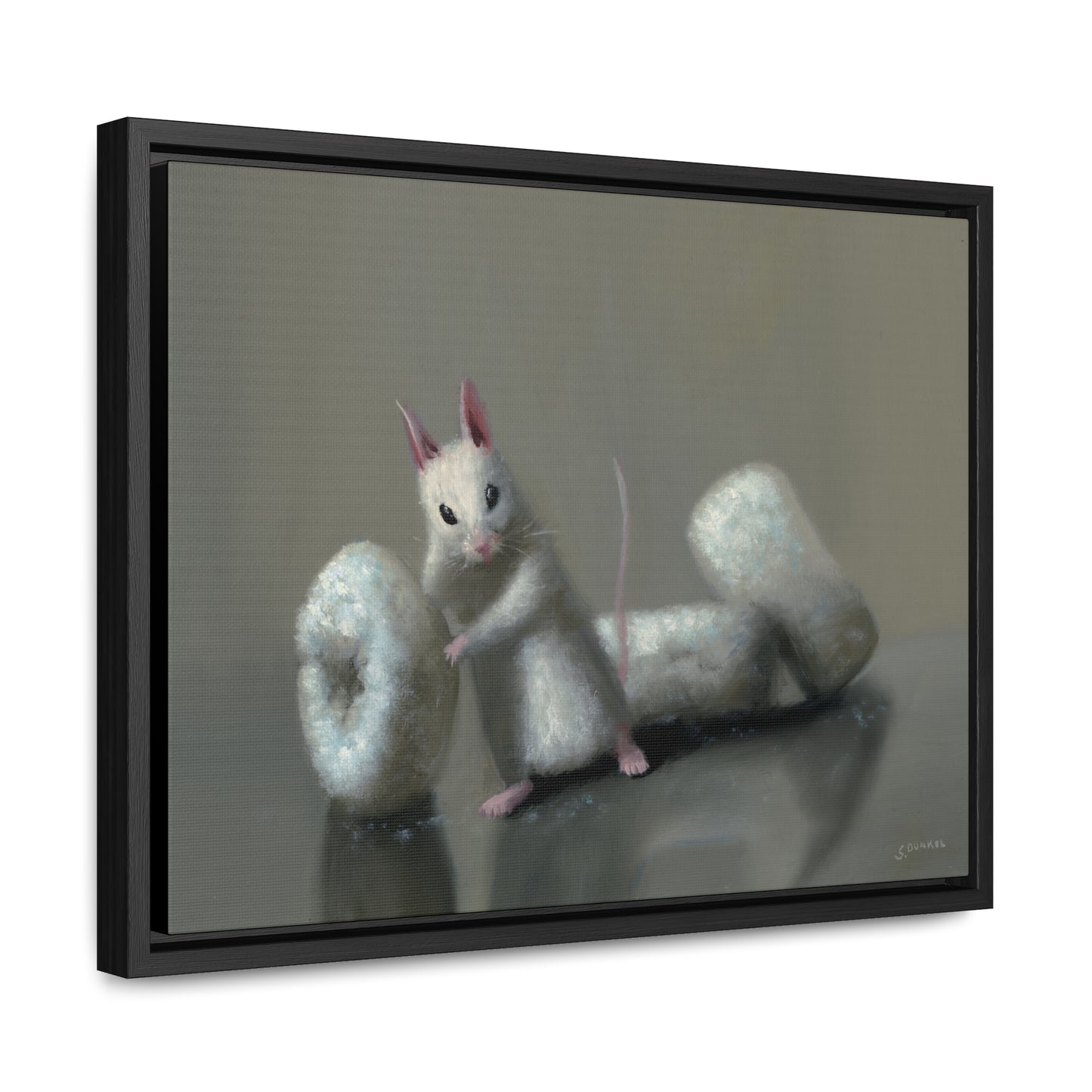 Stuart Dunkel: "Donettes in White" - Framed Canvas Reproduction