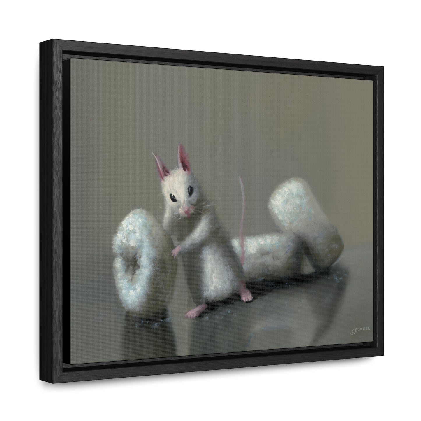 Stuart Dunkel: "Donettes in White" - Framed Canvas Reproduction