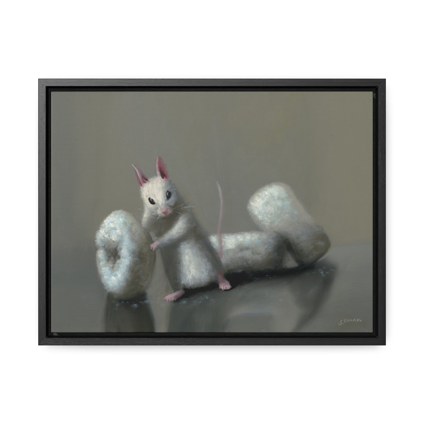 Stuart Dunkel: "Donettes in White" - Framed Canvas Reproduction