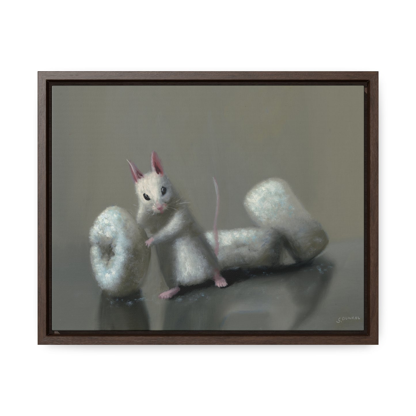 Stuart Dunkel: "Donettes in White" - Framed Canvas Reproduction
