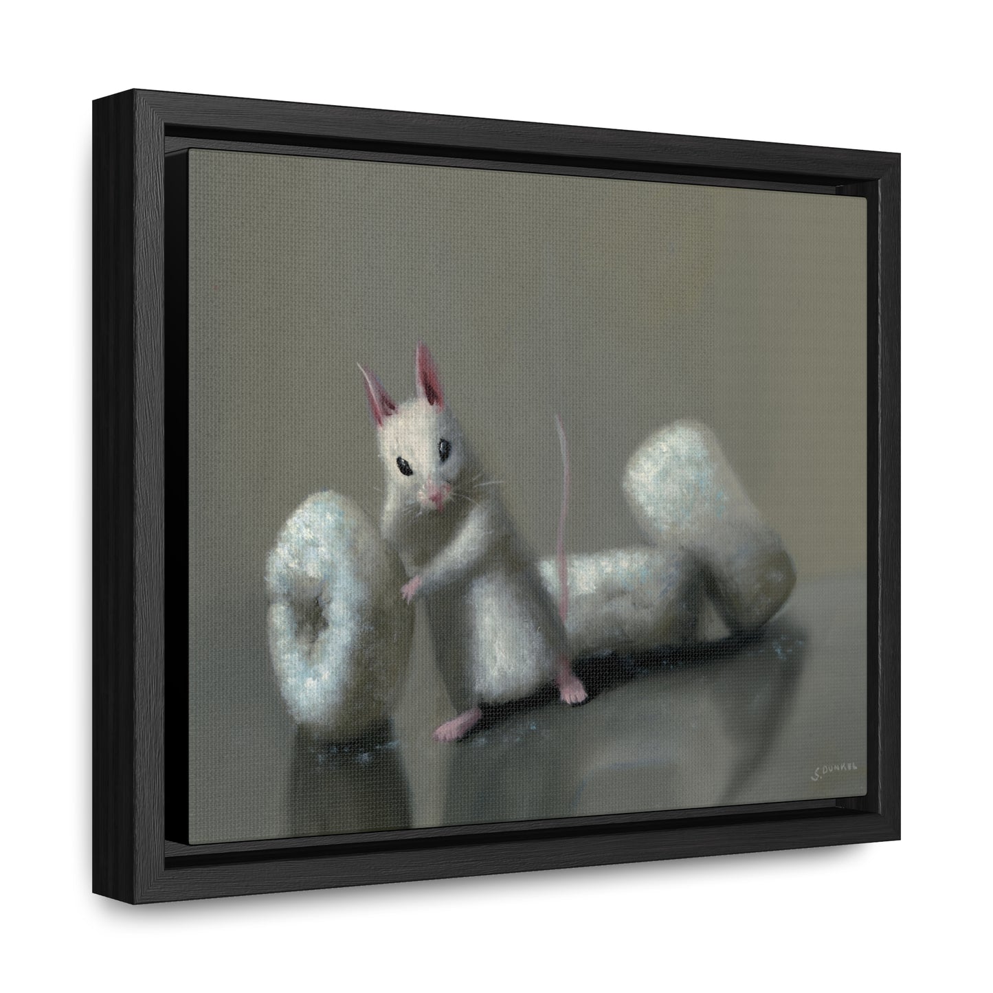 Stuart Dunkel: "Donettes in White" - Framed Canvas Reproduction
