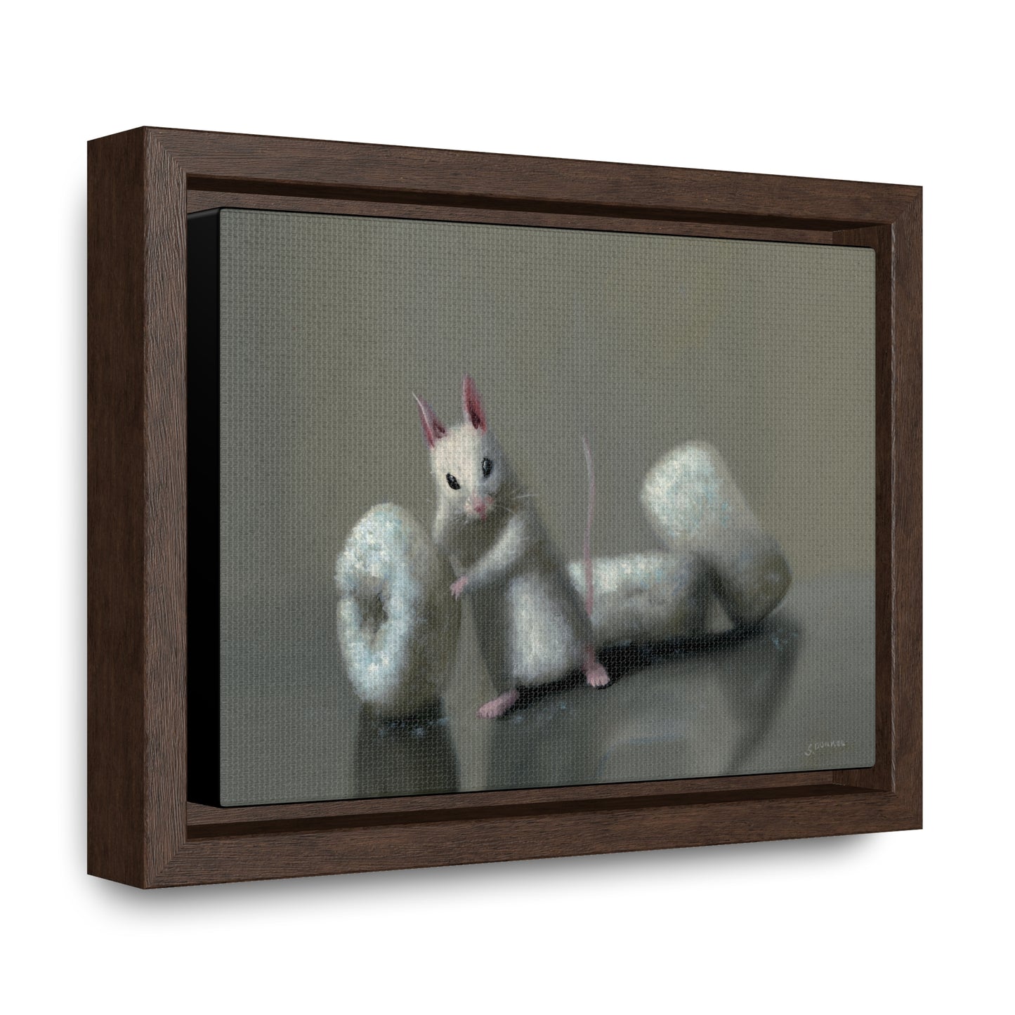 Stuart Dunkel: "Donettes in White" - Framed Canvas Reproduction