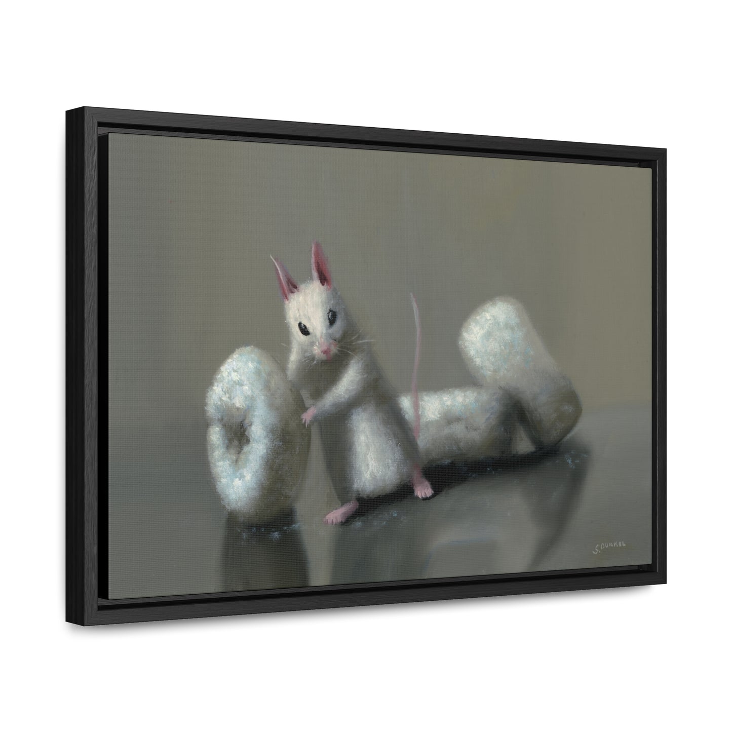 Stuart Dunkel: "Donettes in White" - Framed Canvas Reproduction