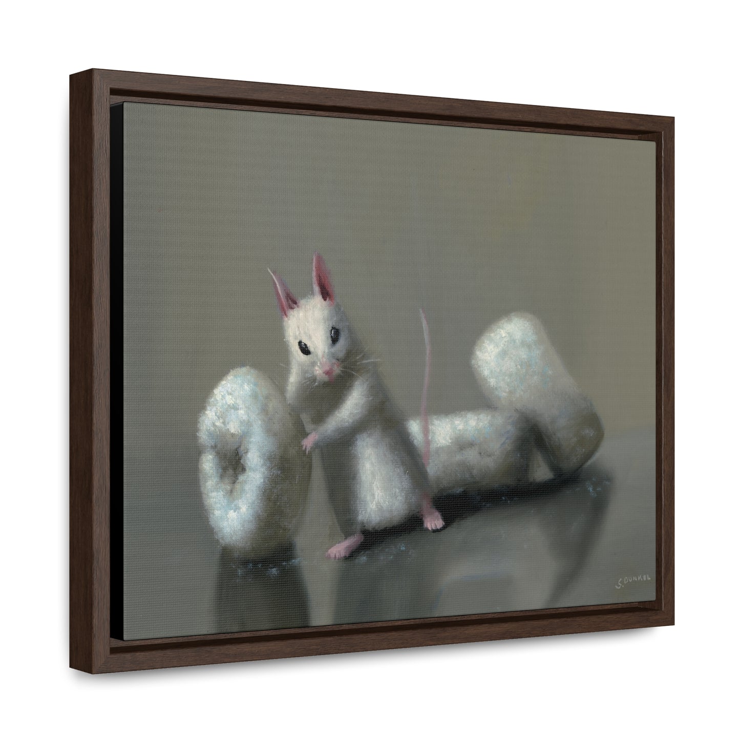 Stuart Dunkel: "Donettes in White" - Framed Canvas Reproduction