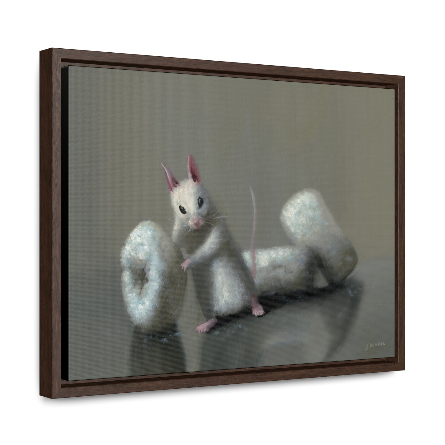 Stuart Dunkel: "Donettes in White" - Framed Canvas Reproduction