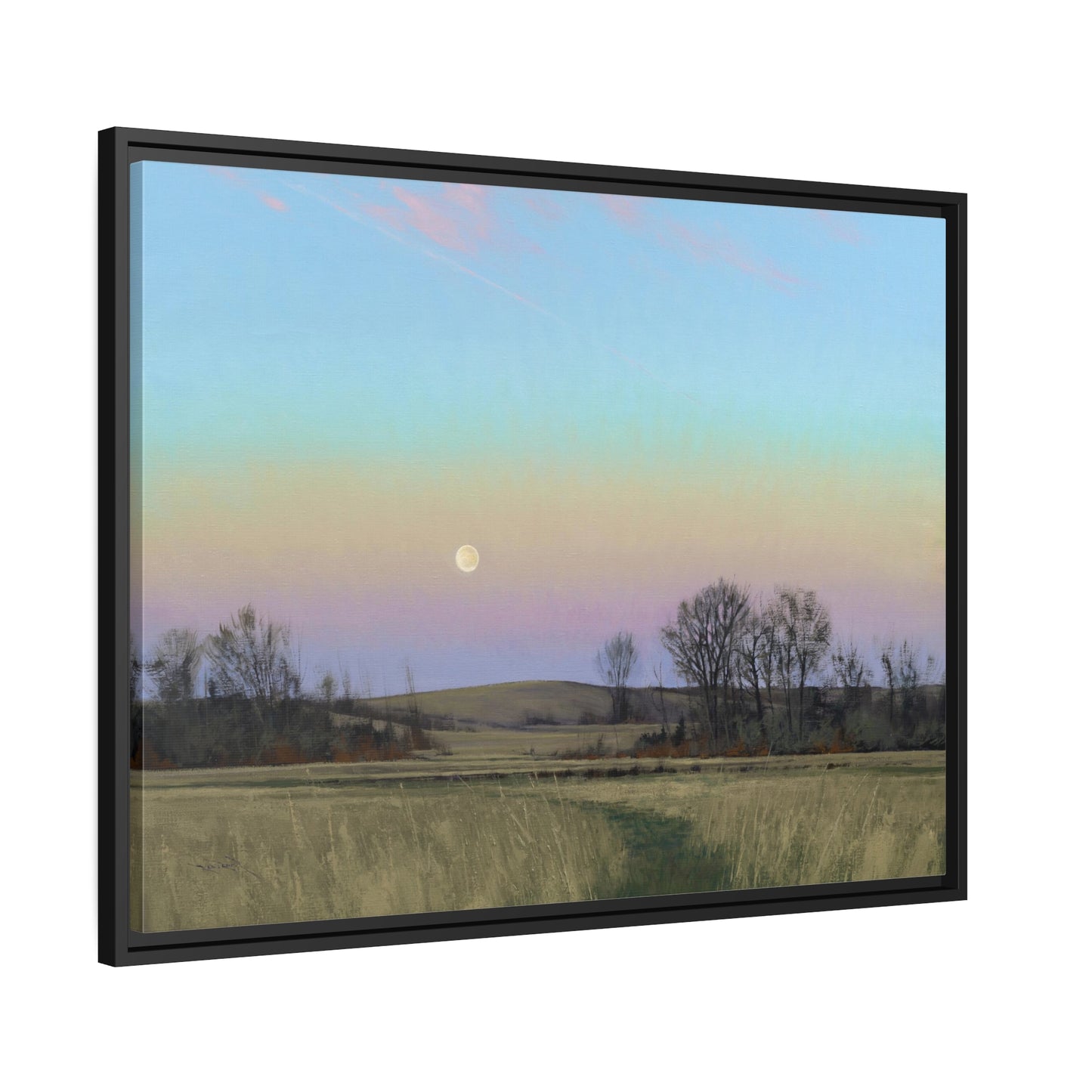 Ben Bauer: "Minnesota Glacial Lakes Area at Dusk" - Framed Canvas Reproduction