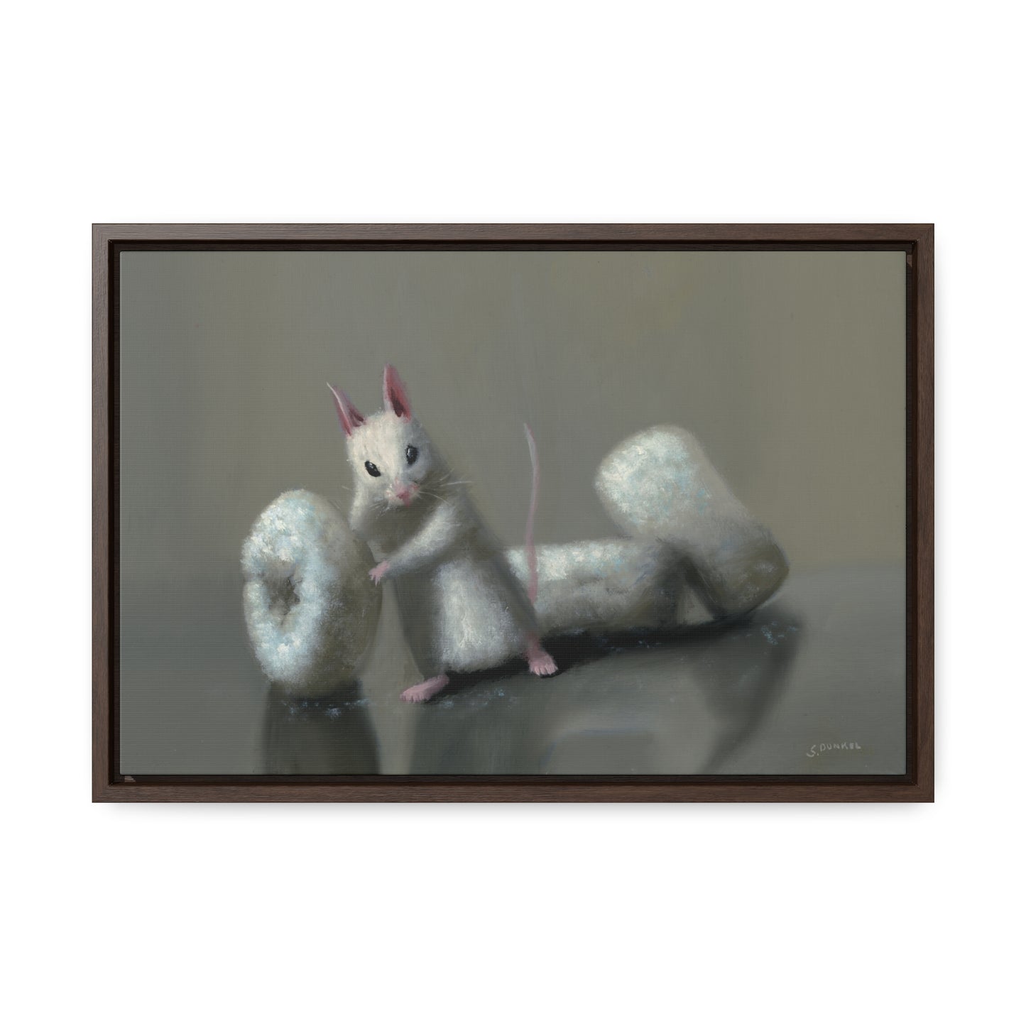 Stuart Dunkel: "Donettes in White" - Framed Canvas Reproduction