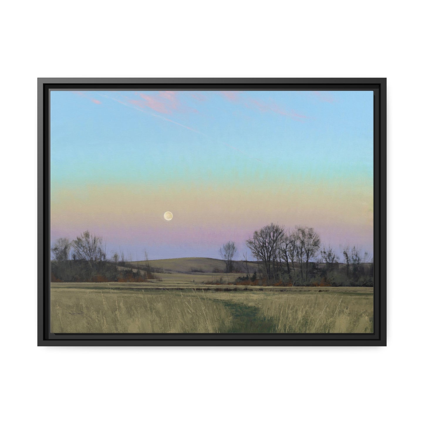 Ben Bauer: "Minnesota Glacial Lakes Area at Dusk" - Framed Canvas Reproduction