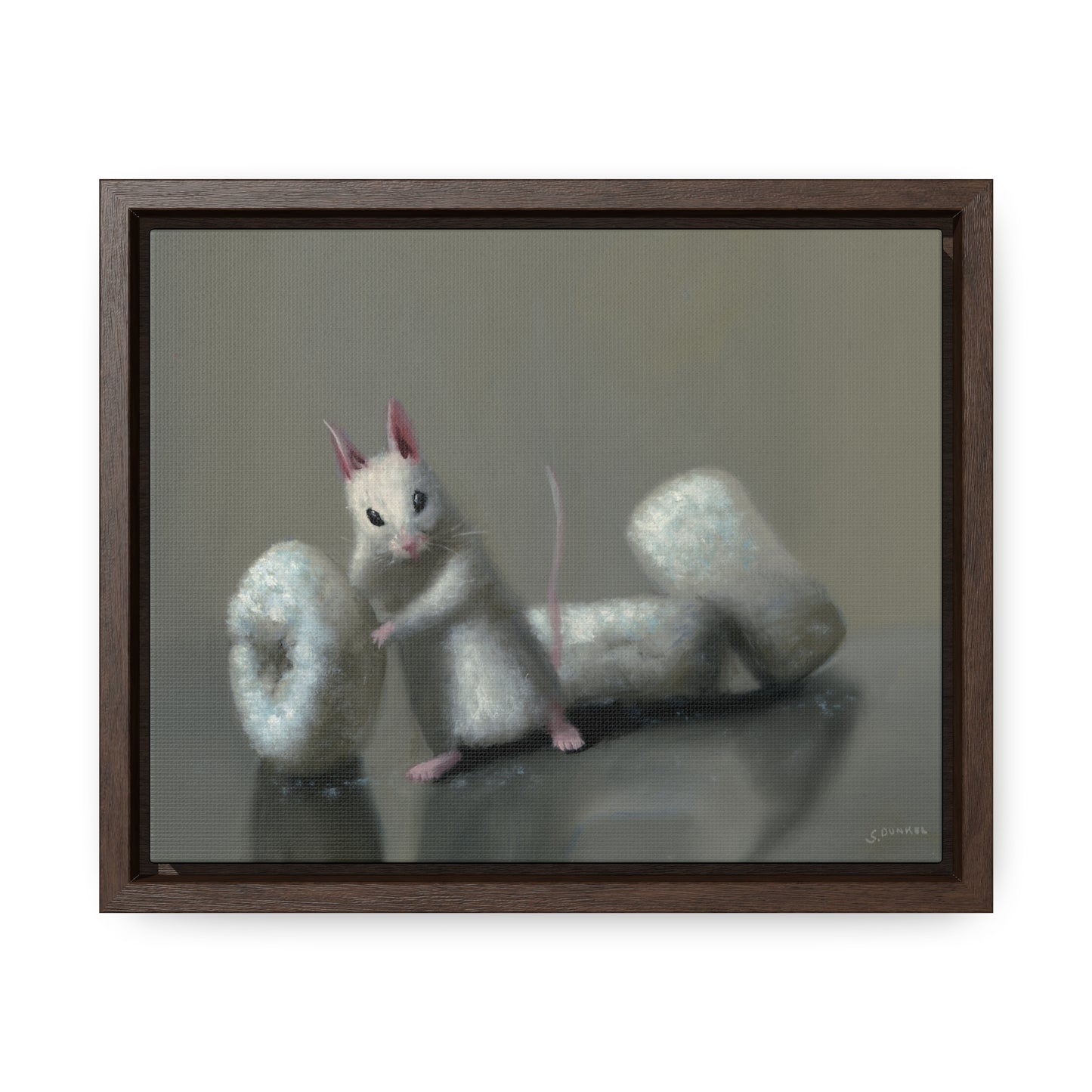 Stuart Dunkel: "Donettes in White" - Framed Canvas Reproduction