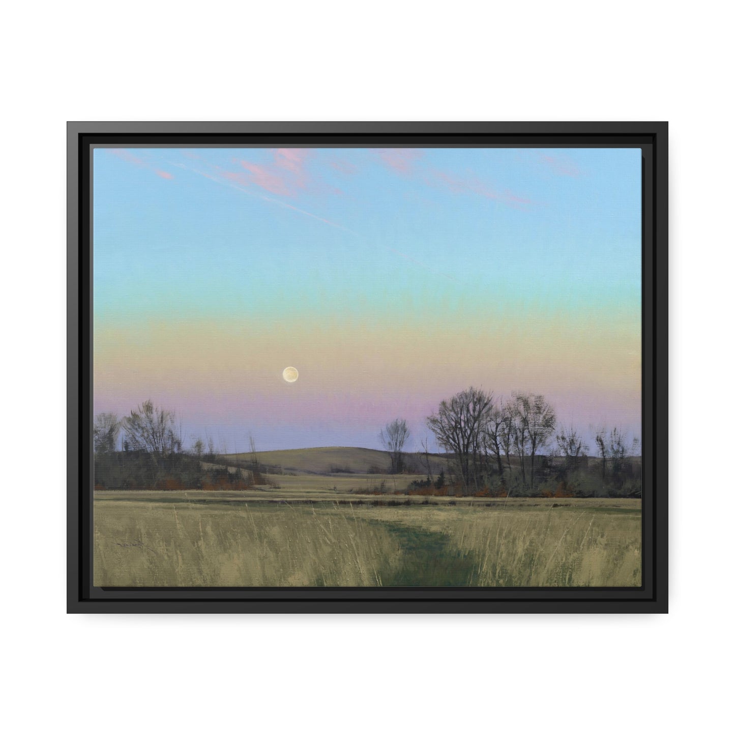Ben Bauer: "Minnesota Glacial Lakes Area at Dusk" - Framed Canvas Reproduction