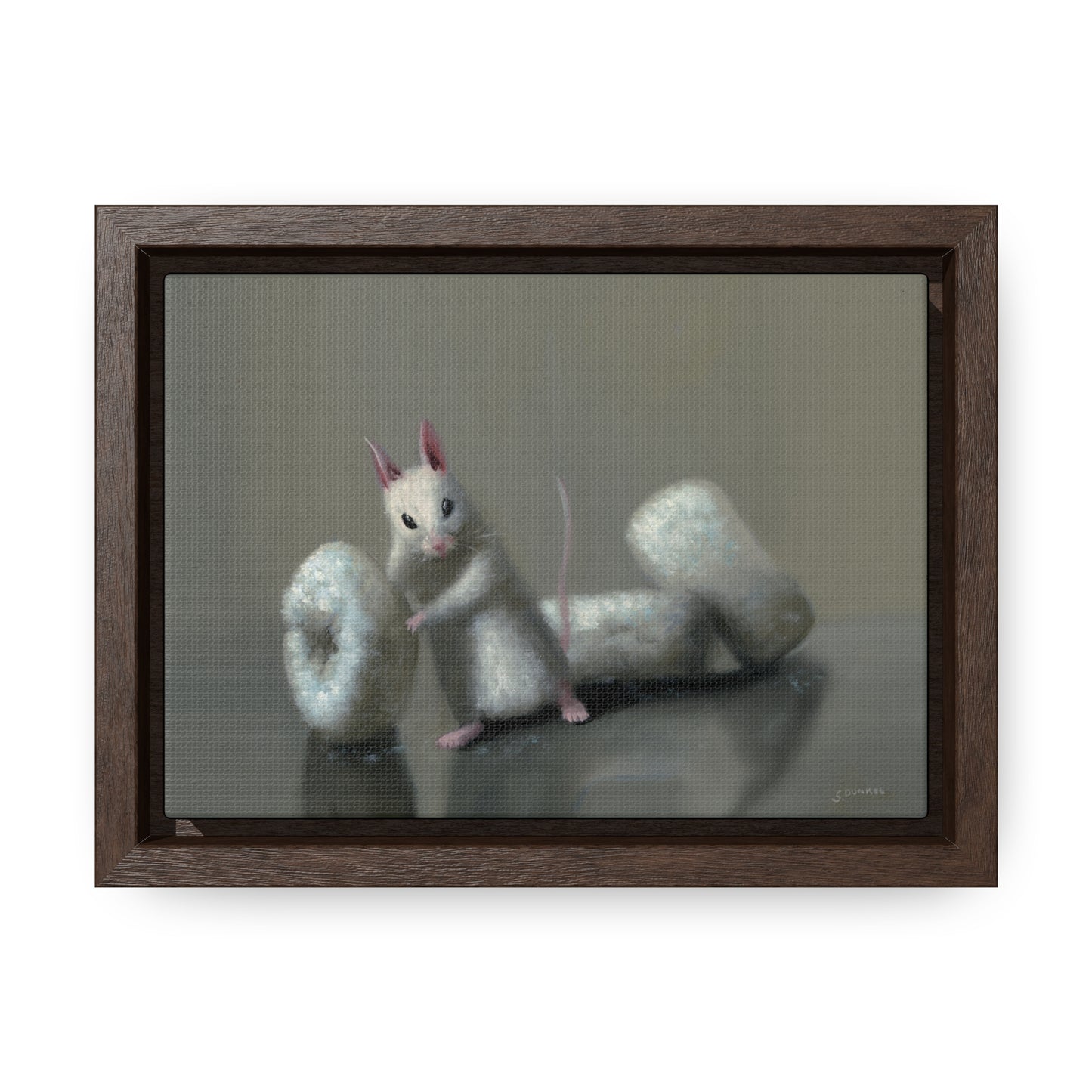 Stuart Dunkel: "Donettes in White" - Framed Canvas Reproduction