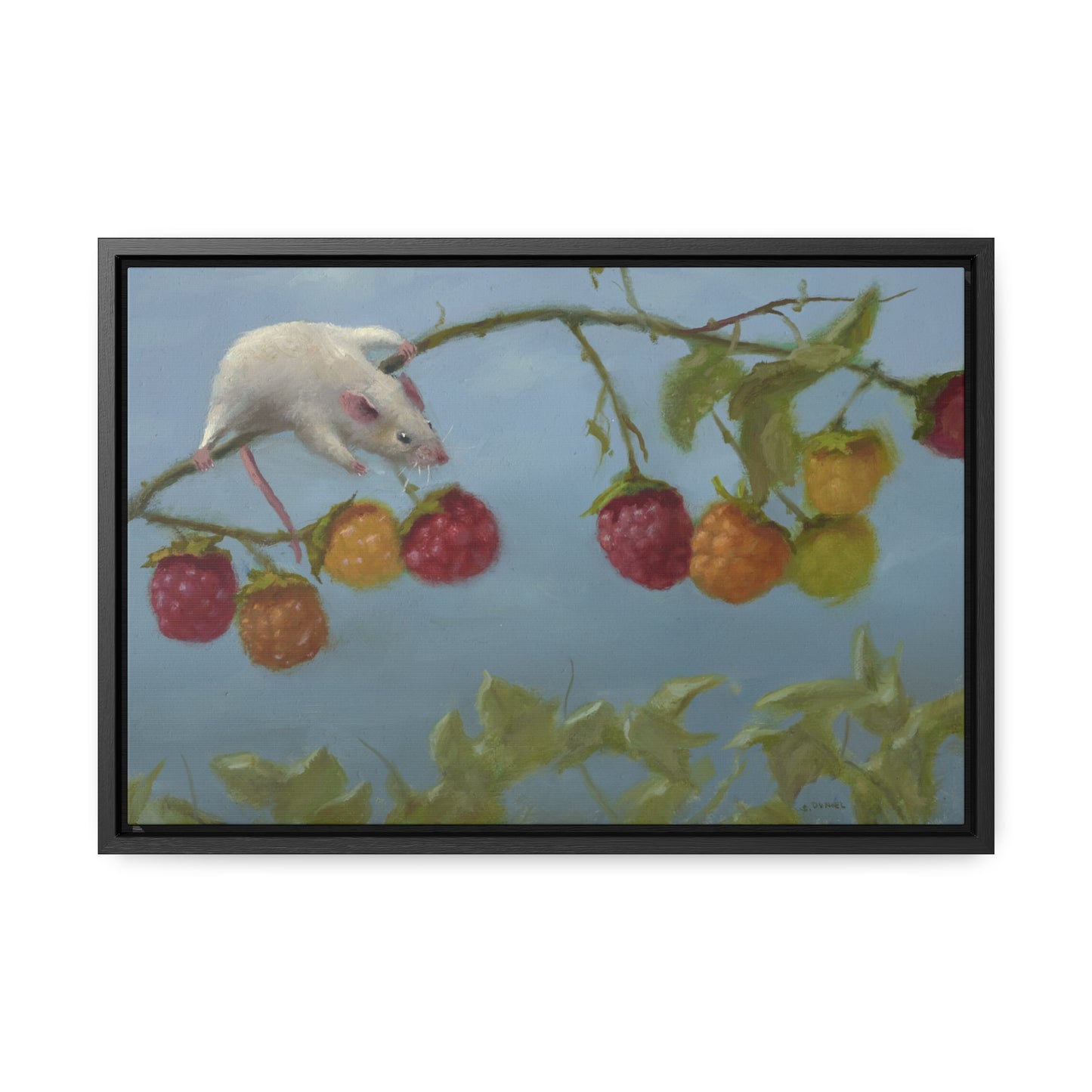 Stuart Dunkel: "Berry Picker" - Framed Canvas Reproduction