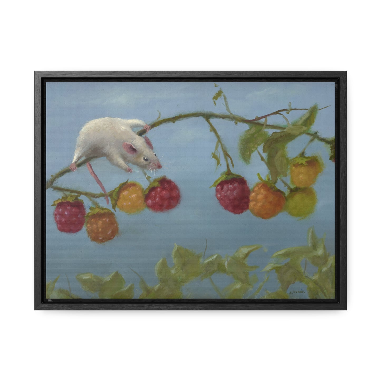 Stuart Dunkel: "Berry Picker" - Framed Canvas Reproduction