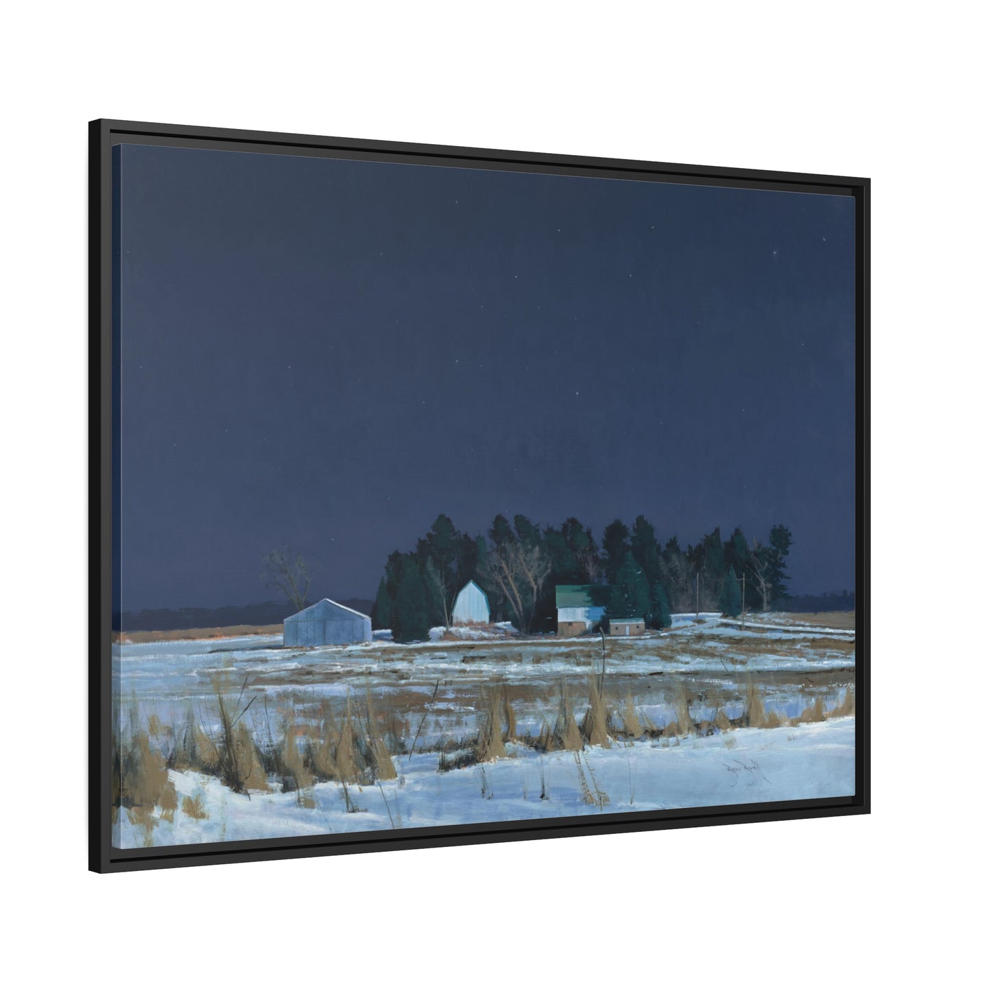 Ben Bauer: "Midnight at 20 Below" - Framed Canvas Reproduction