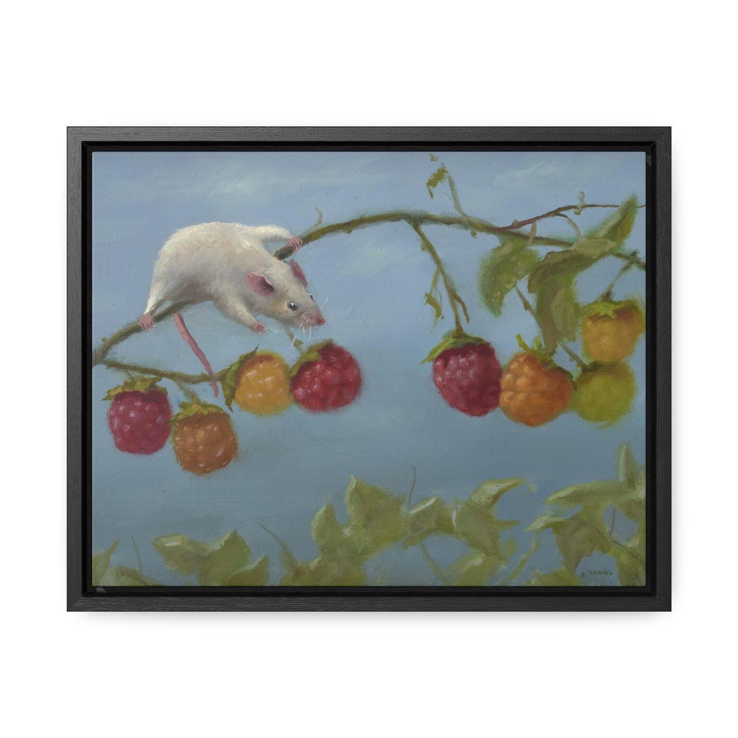 Stuart Dunkel: "Berry Picker" - Framed Canvas Reproduction