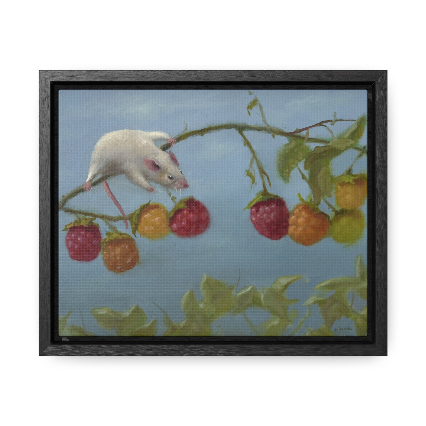 Stuart Dunkel: "Berry Picker" - Framed Canvas Reproduction