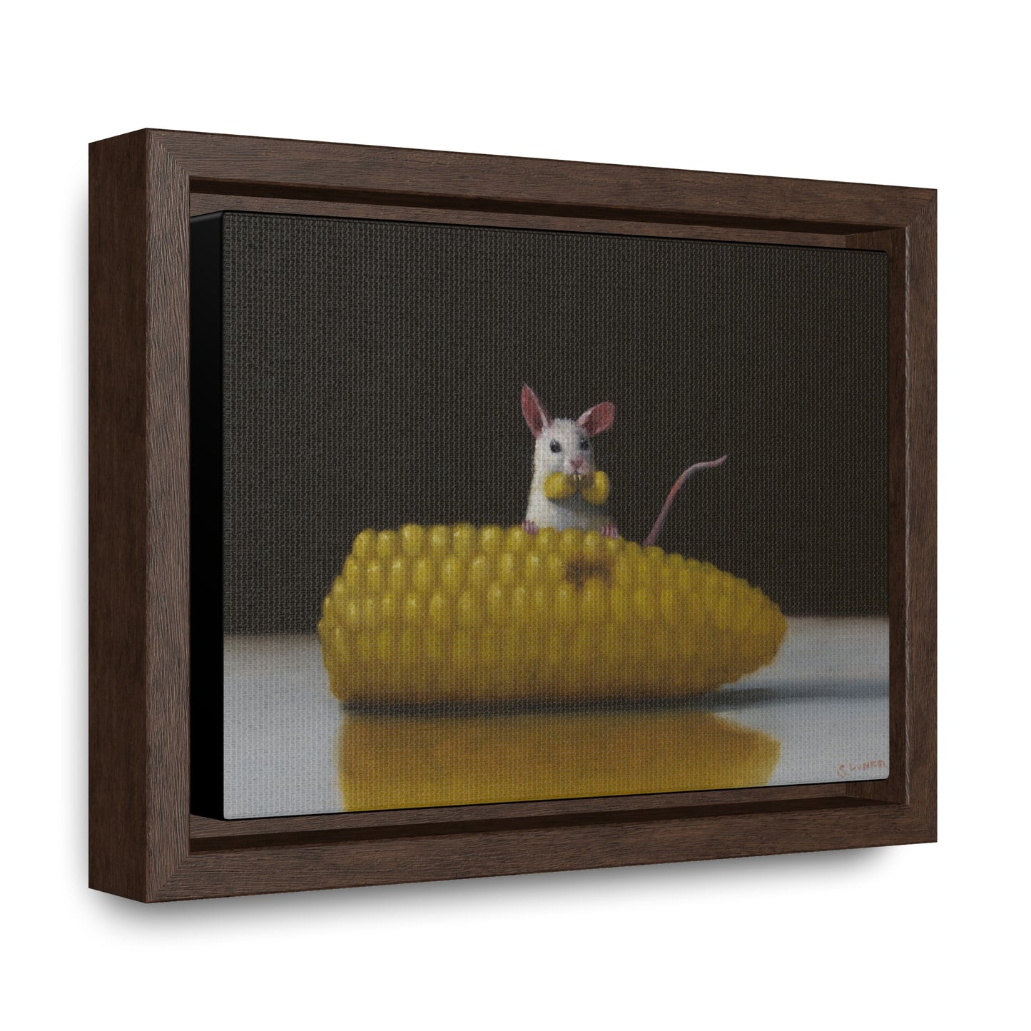 Stuart Dunkel's "Floss" - Framed Canvas Reproduction