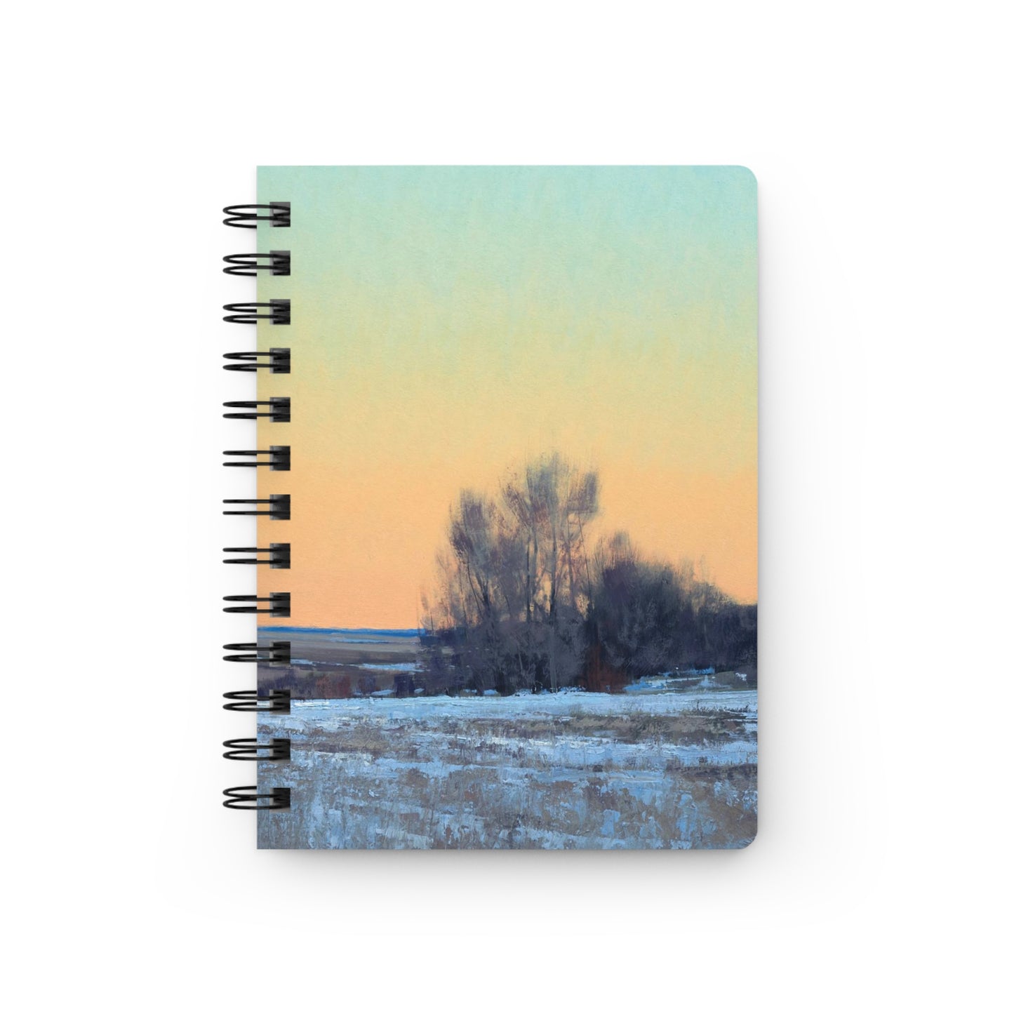 Ben Bauer: "Late Afternoon in March, Lowry, MN" - Spiral Bound Journal