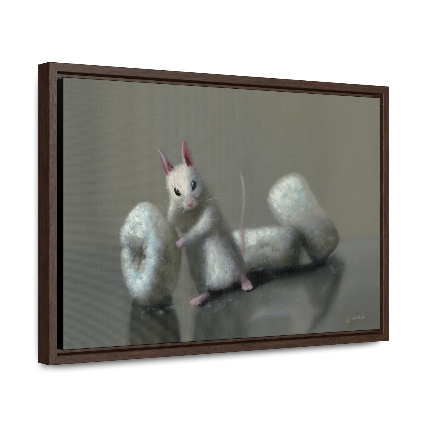 Stuart Dunkel: "Donettes in White" - Framed Canvas Reproduction