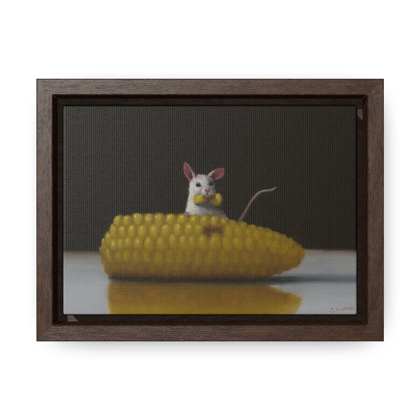 Stuart Dunkel's "Floss" - Framed Canvas Reproduction