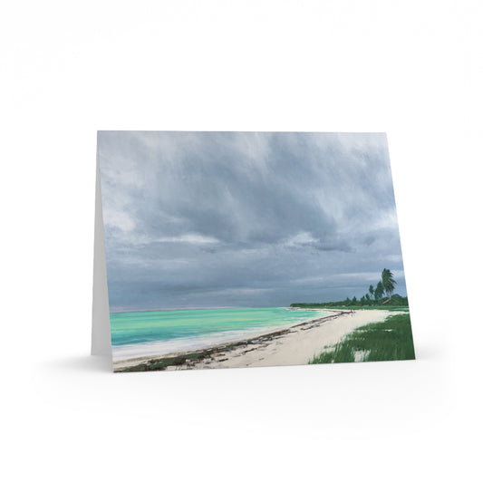 Ben Bauer: "Sandspur Beach, Florida" - Greeting Cards (8, 16, and 24 pcs)