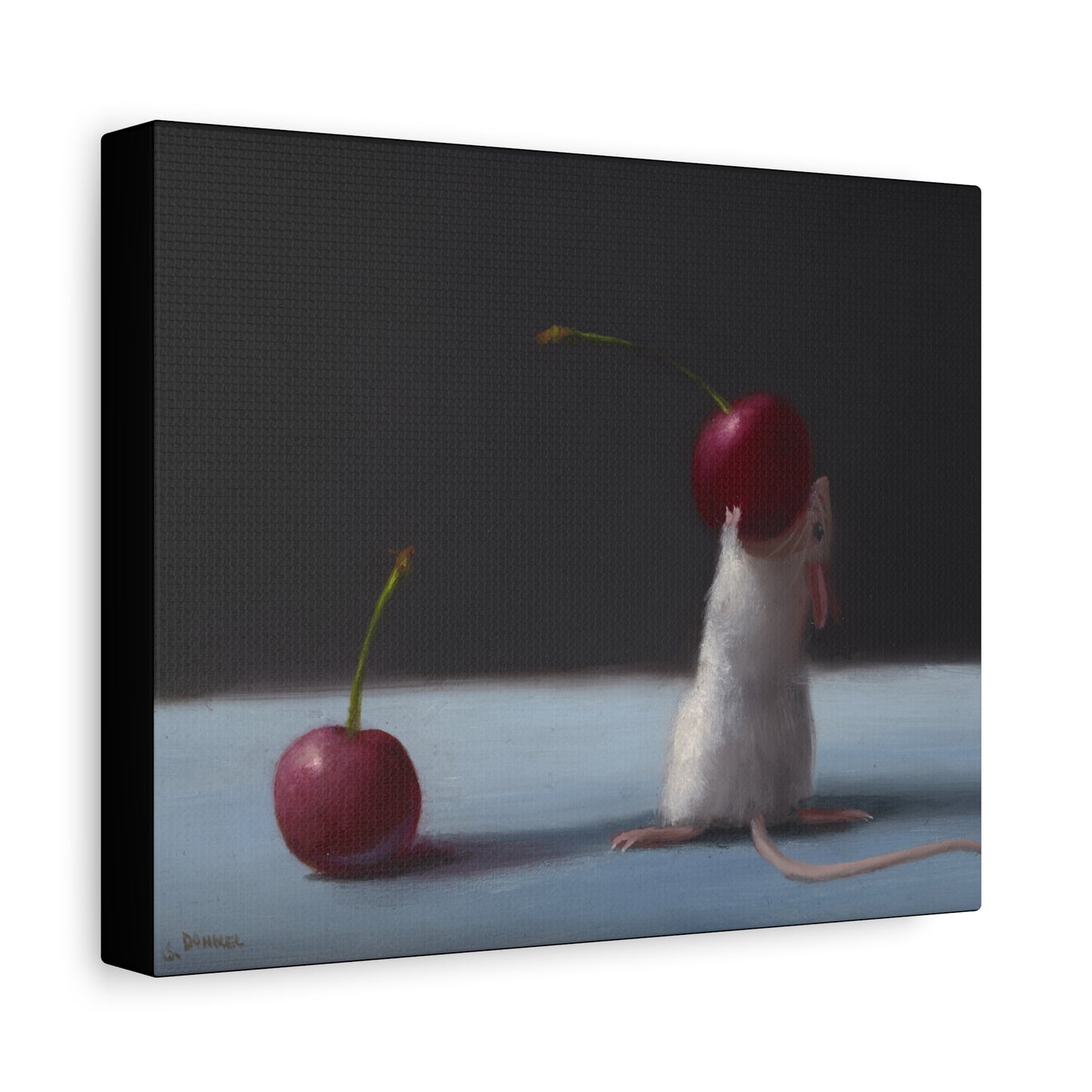 Stuart Dunkel: "Two Cherries" - Canvas Reproduction