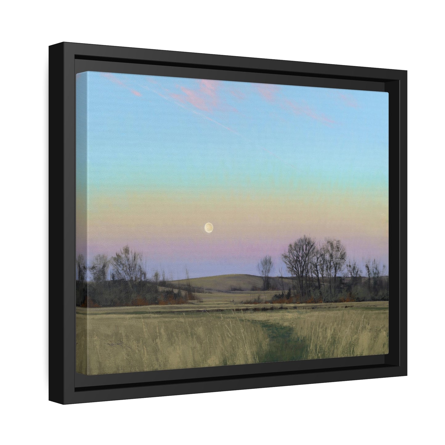 Ben Bauer: "Minnesota Glacial Lakes Area at Dusk" - Framed Canvas Reproduction