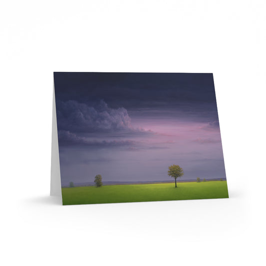 Gail Descoeurs: "Here and Now" - Greeting Cards (8, 16, and 24 pcs)