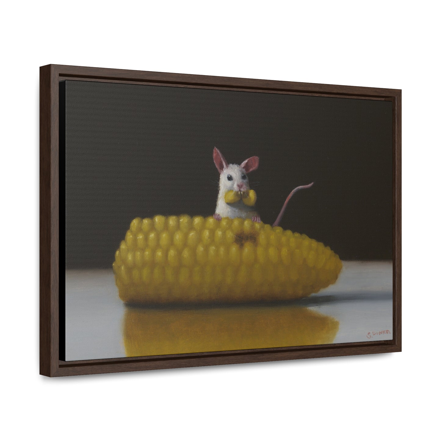 Stuart Dunkel's "Floss" - Framed Canvas Reproduction